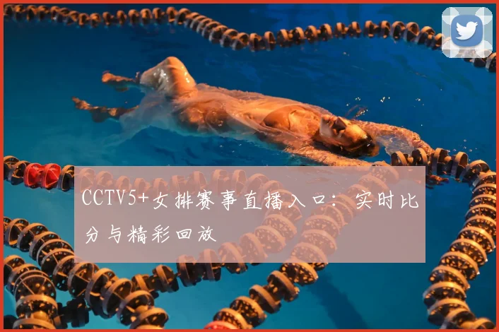CCTV5+女排赛事直播入口：实时比分与精彩回放
