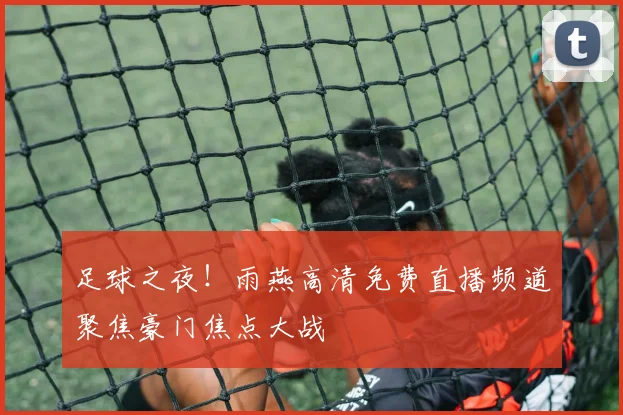 足球之夜！雨燕高清免费直播频道聚焦豪门焦点大战