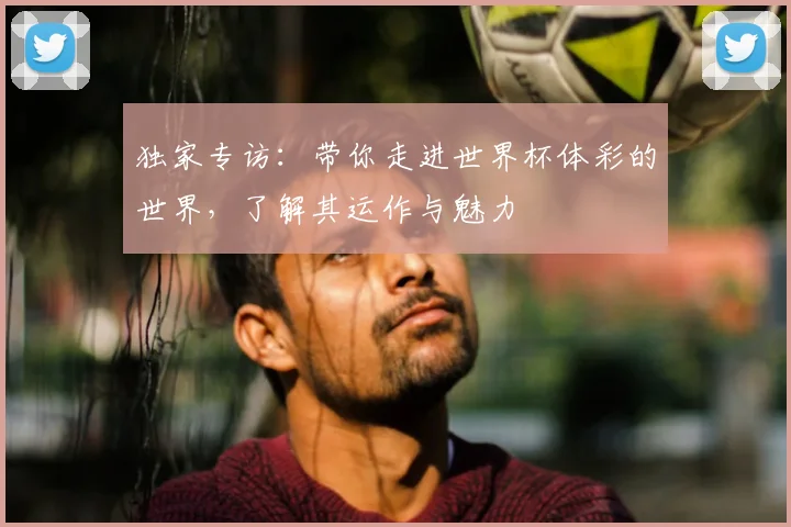 独家专访：带你走进世界杯体彩的世界，了解其运作与魅力