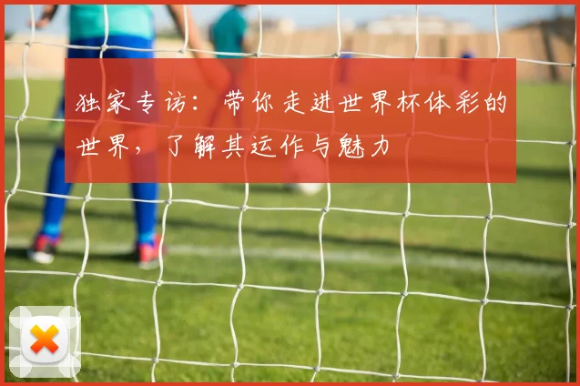 独家专访：带你走进世界杯体彩的世界，了解其运作与魅力