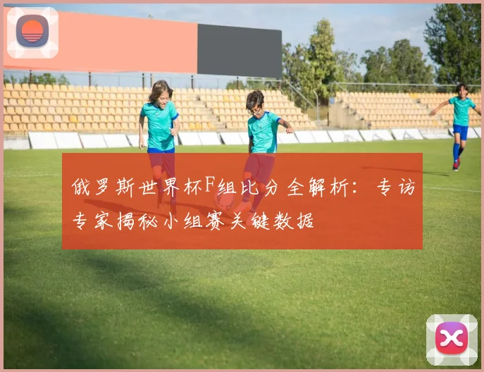 俄罗斯世界杯F组比分全解析：专访专家揭秘小组赛关键数据