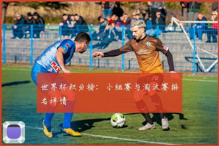 世界杯积分榜：小组赛与淘汰赛排名详情