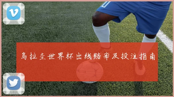 乌拉圭世界杯出线赔率及投注指南