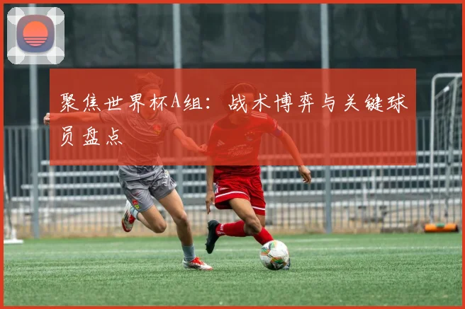 聚焦世界杯A组：战术博弈与关键球员盘点