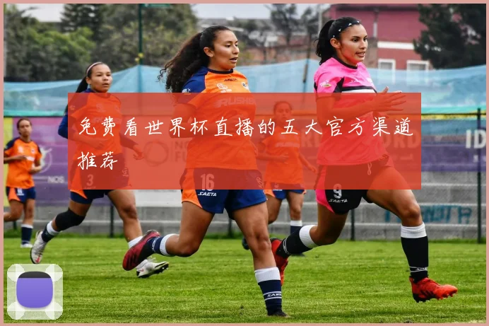 免费看世界杯直播的五大官方渠道推荐