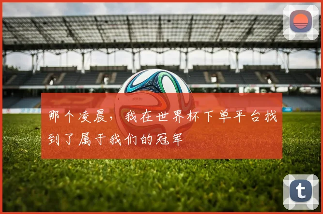 那个凌晨，我在世界杯下单平台找到了属于我们的冠军