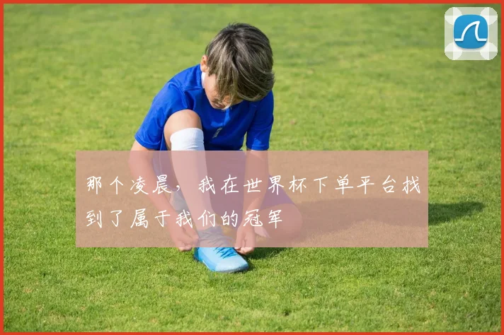那个凌晨，我在世界杯下单平台找到了属于我们的冠军