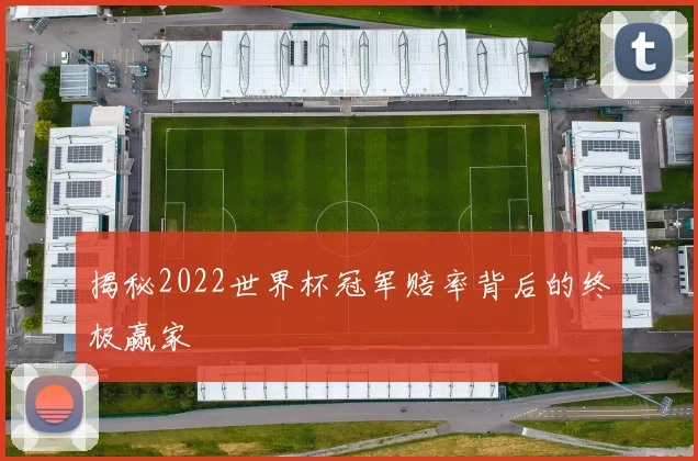 揭秘2022世界杯冠军赔率背后的终极赢家