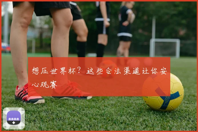 想压世界杯？这些合法渠道让你安心观赛
